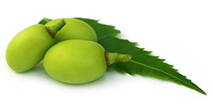 argo-chemical-neem